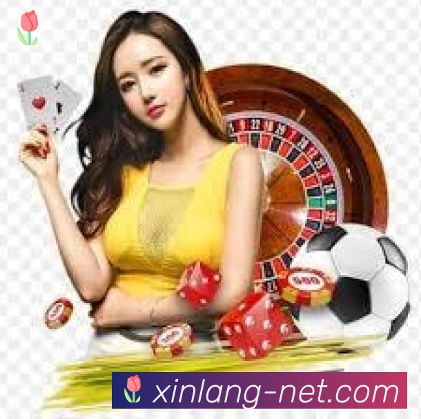 数据防护可视化